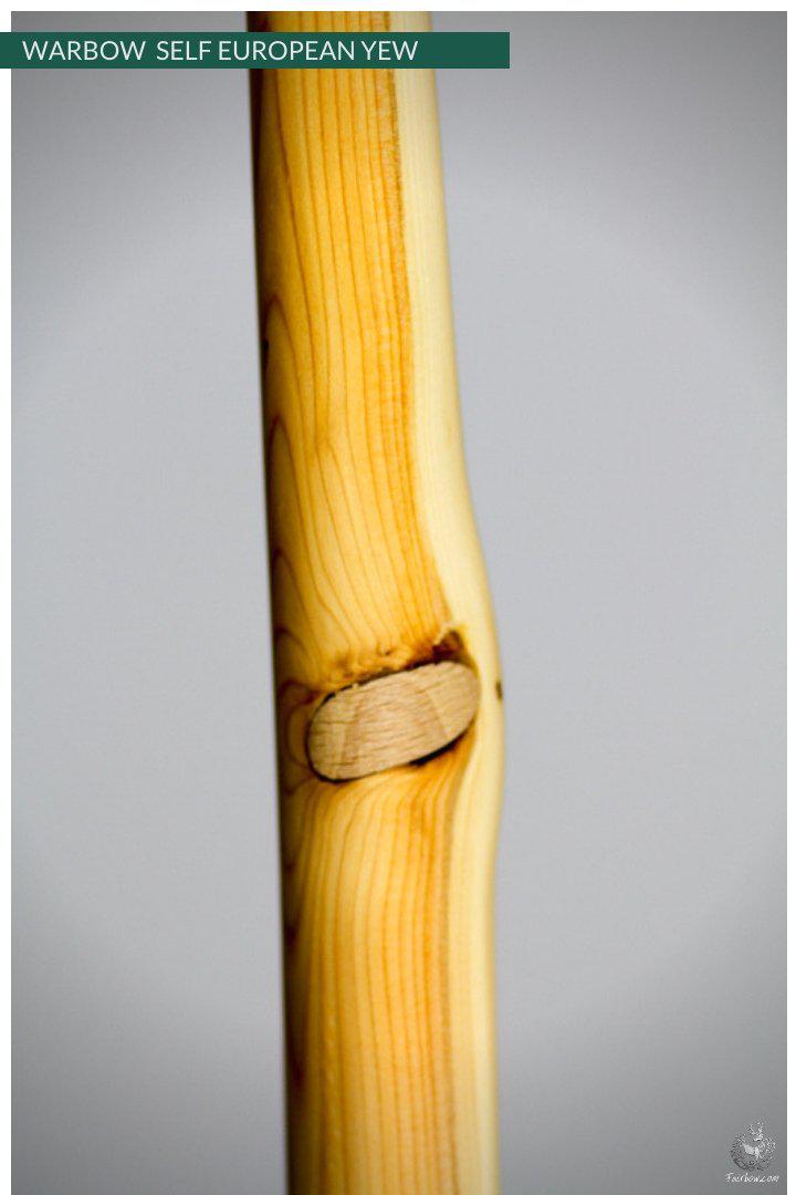 WARBOW SELF EUROPEAN YEW, 96@32-War Bow-Fairbow-Fairbow