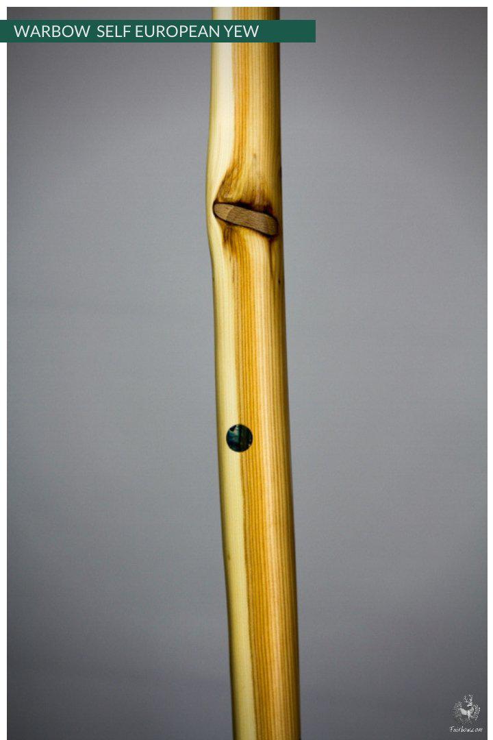 WARBOW SELF EUROPEAN YEW, 96@32-War Bow-Fairbow-Fairbow