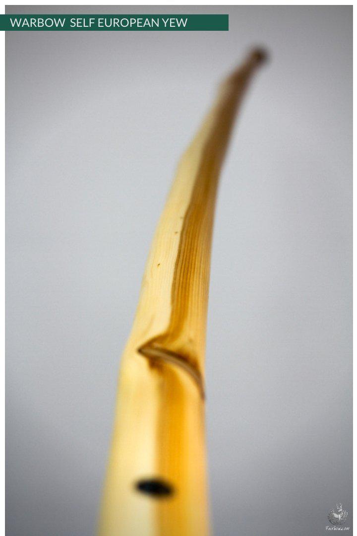 WARBOW SELF EUROPEAN YEW, 96@32-War Bow-Fairbow-Fairbow