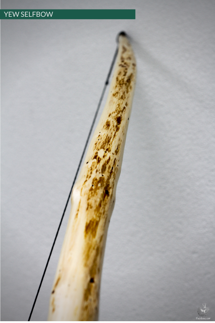 YEW SELFBOW, 67 INCH NTN, 47 LBS-Bow-Fairbow-Fairbow