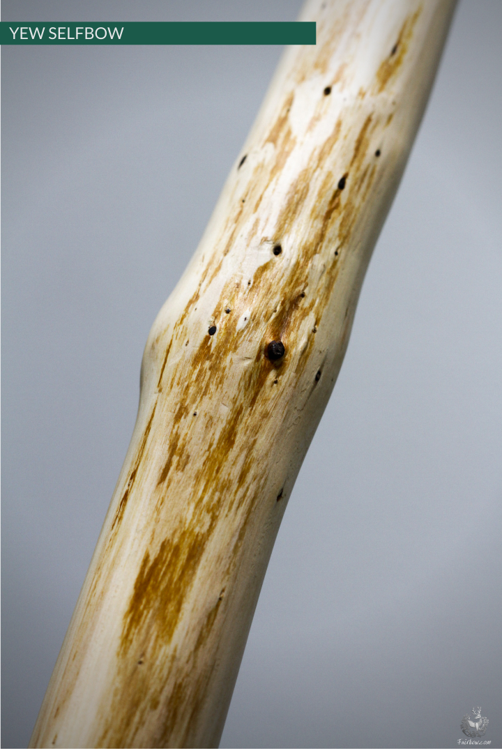 YEW SELFBOW, 67 INCH NTN, 47 LBS-Bow-Fairbow-Fairbow