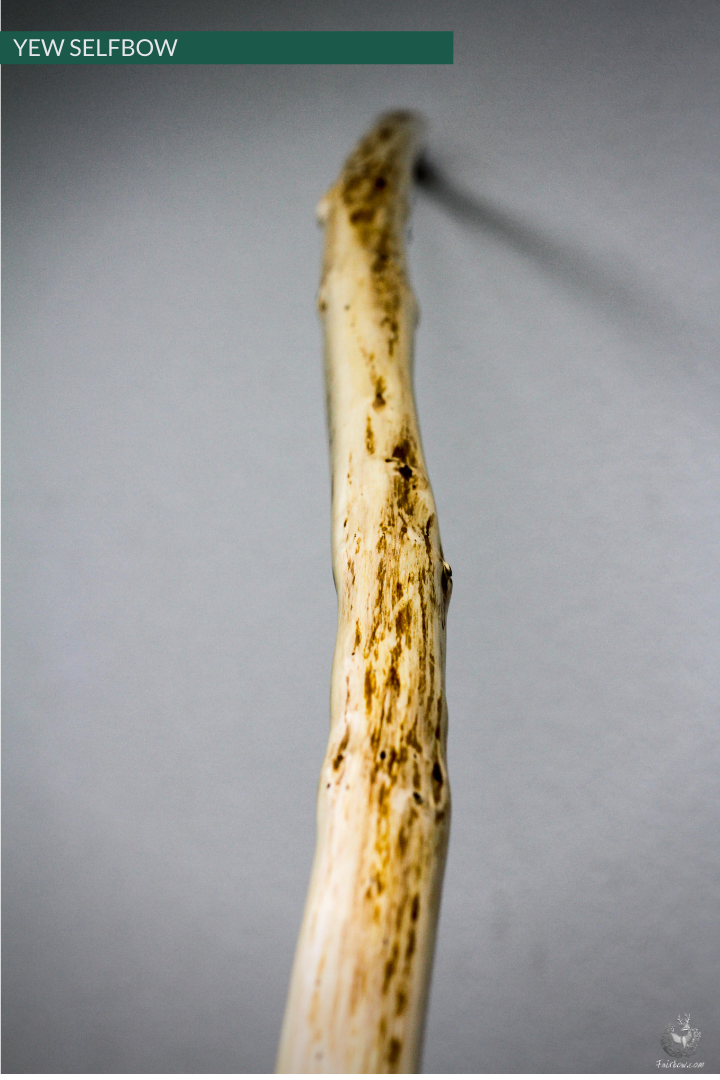 YEW SELFBOW, 67 INCH NTN, 47 LBS-Bow-Fairbow-Fairbow