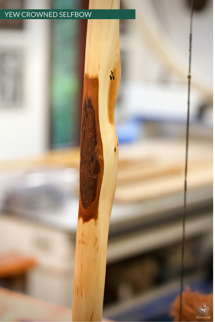 YEW SELFBOW, 67 INCH NTN, 55 LBS-Bow-Fairbow-Fairbow