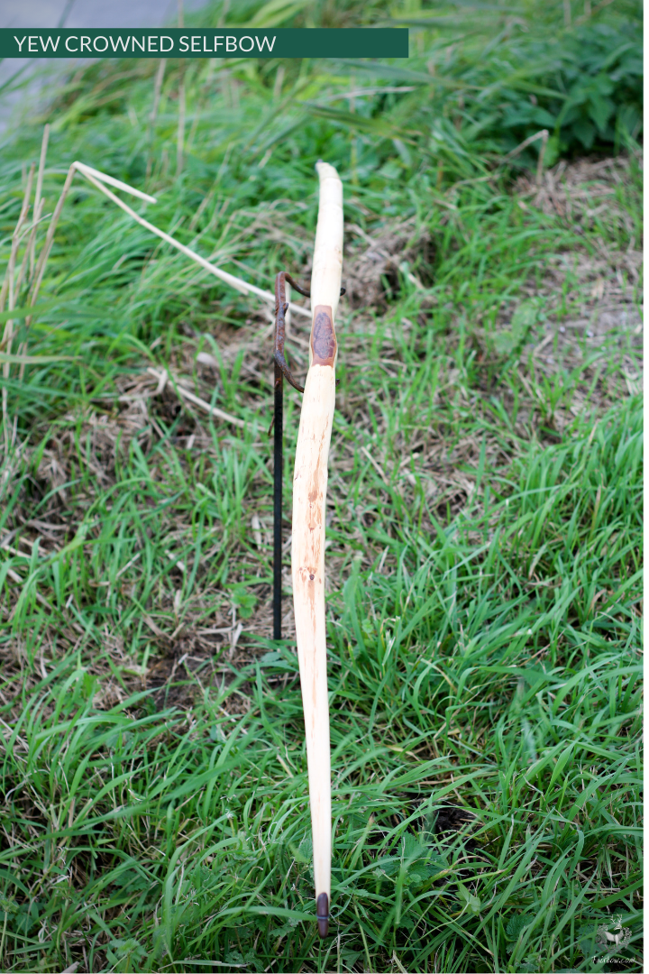 YEW SELFBOW, 67 INCH NTN, 55 LBS-Bow-Fairbow-Fairbow
