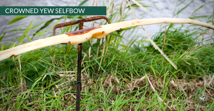 YEW SELFBOW, 67 INCH NTN, 55 LBS-Bow-Fairbow-Fairbow