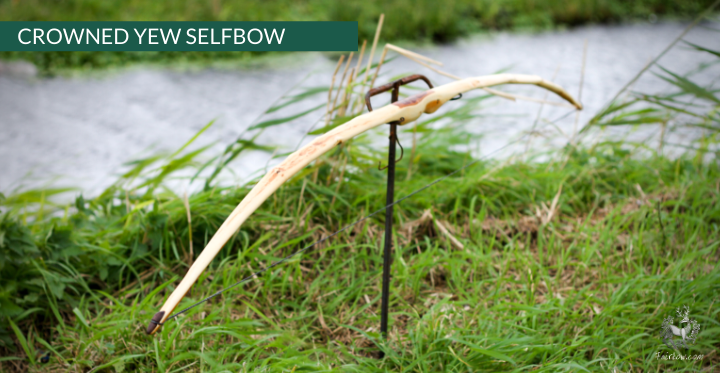 YEW SELFBOW, 67 INCH NTN, 55 LBS-Bow-Fairbow-Fairbow