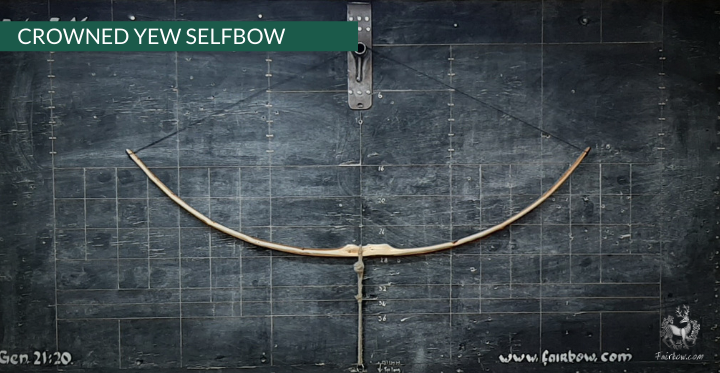 YEW SELFBOW, 67 INCH NTN, 55 LBS-Bow-Fairbow-Fairbow