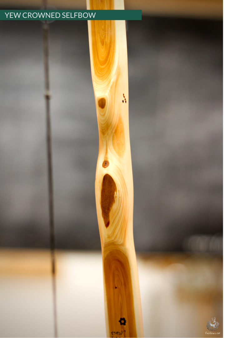 YEW SELFBOW, 67 INCH NTN, 55 LBS-Bow-Fairbow-Fairbow