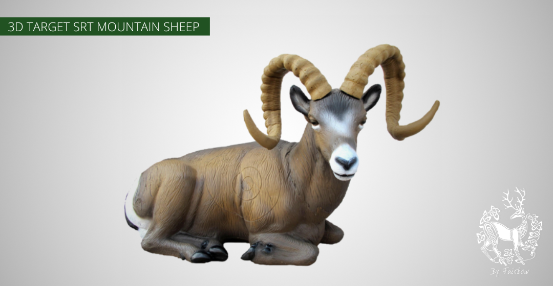 3D TARGET BEDDED MOUNTAIN SHEEP BY SRT