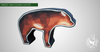 ELEVEN TARGET FOAM 2½D COYOTE