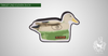 ELEVEN TARGET FOAM 2½D DUCK-target-Eleven-Fairbow