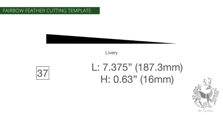 FEATHER CUTTING TEMPLATE PRE-GLUE (1-40)-Tool-Fairbow-Left wing-EWBS DWS livery shape no.37-Fairbow