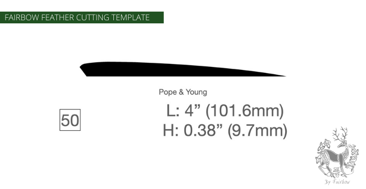 FEATHER CUTTING TEMPLATE PRE-GLUE (41-80)-Tool-Fairbow-Left wing-Classic pope and young 4" no.50-Fairbow