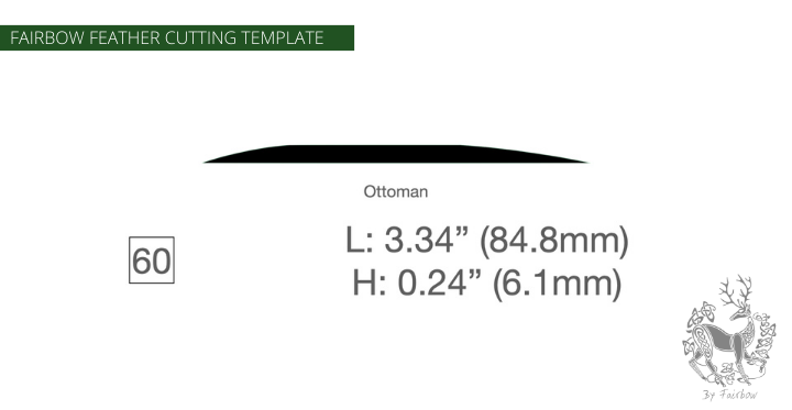 FEATHER CUTTING TEMPLATE PRE-GLUE (41-80)-Tool-Fairbow-Left wing-Ottoman 3.3" no.60-Fairbow