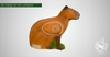 3D TARGET CAPIBARA BY SRT