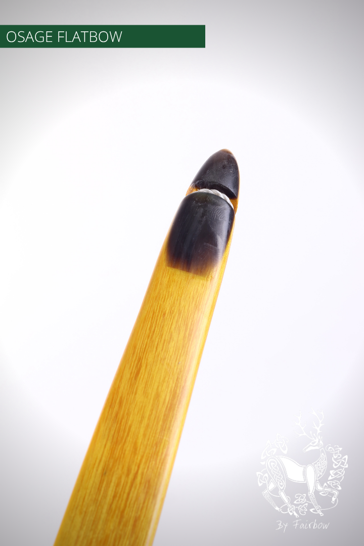 OSAGE SELFBOW, 66 INCH NTN, 36 LBS AMERICAN FLATBOW-Bow-Fairbow-Fairbow