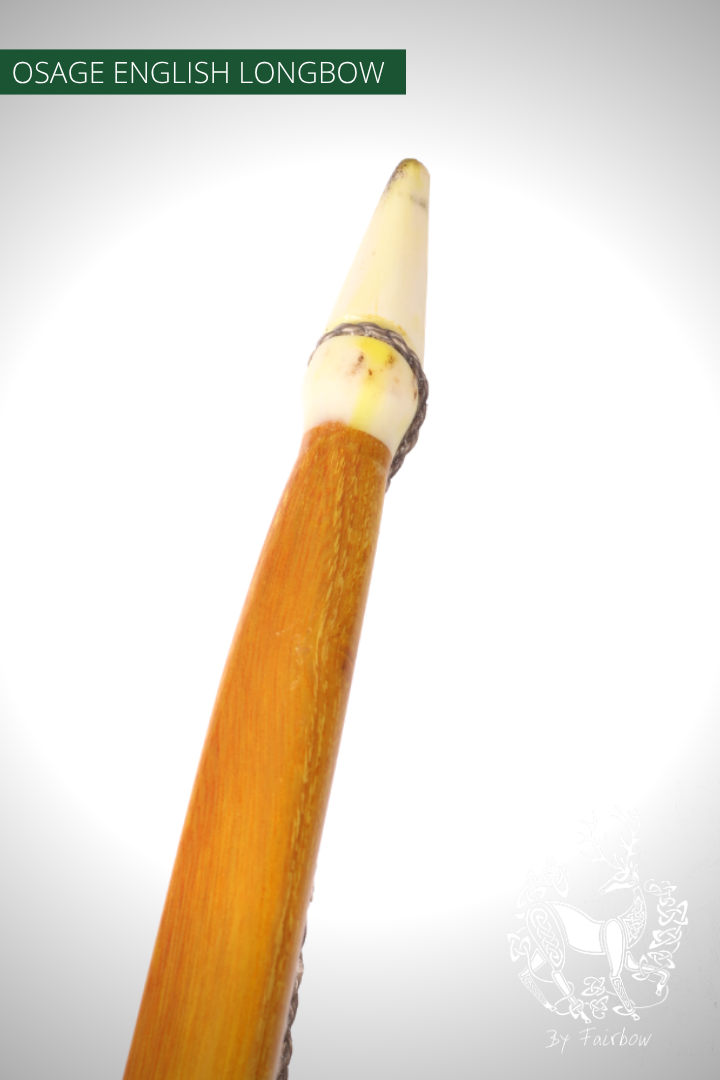 OSAGE SELFBOW,ENGLISH LONGBOW 74 INCH NTN, 49 lbs-Bow-Fairbow-Fairbow