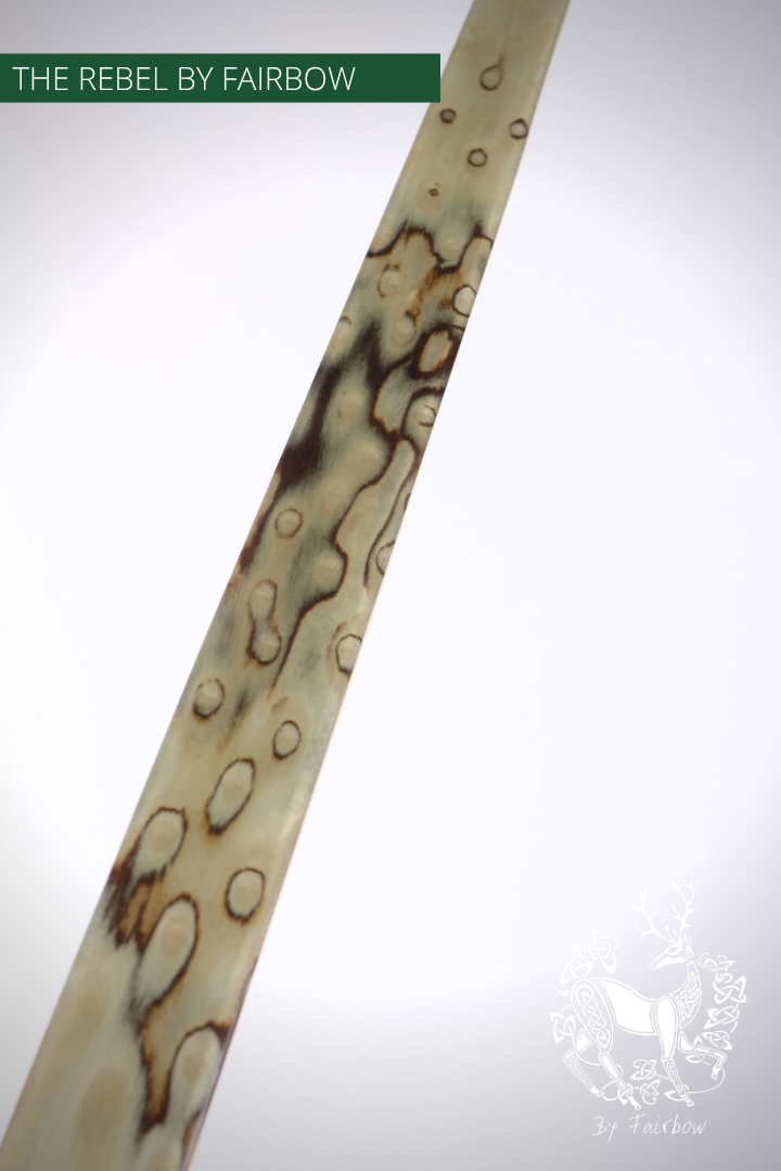 THE REBEL BOW 34@28 CLEAR GLASS, PEAR AND SPALTED BIRDSEYE MAPLE-Bow-Fairbow-Fairbow