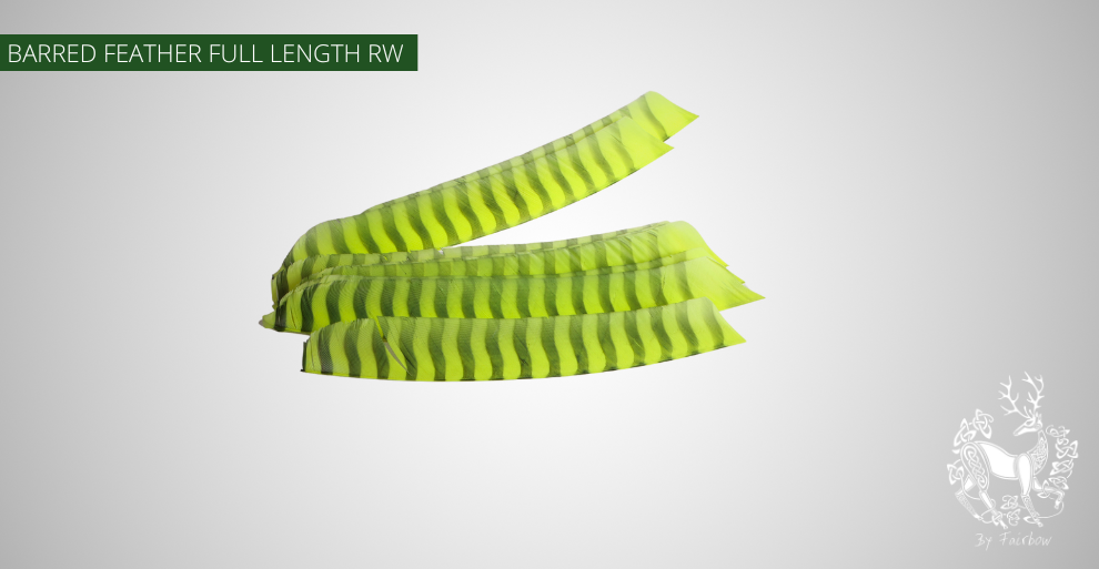 TURKEY FEATHERS BARRED AND COLORED FULL LENGTH SOLD PER DOZEN RIGHT WING-Feathers-Gateway-Fluo green barred-Fairbow