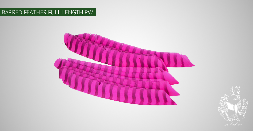 TURKEY FEATHERS BARRED AND COLORED FULL LENGTH SOLD PER DOZEN RIGHT WING-Feathers-Gateway-Pink barred-Fairbow