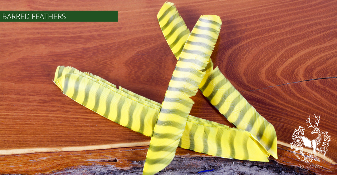 TURKEY FEATHERS BARRED AND COLORED FULL LENGTH SOLD PER DOZEN RIGHT WING-Feathers-Gateway-Red Barred-Fairbow