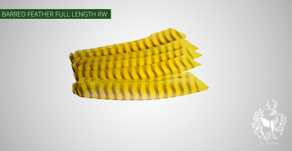 TURKEY FEATHERS BARRED AND COLORED FULL LENGTH SOLD PER DOZEN RIGHT WING-Feathers-Gateway-Yellow barred-Fairbow