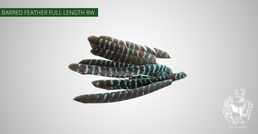TURKEY FEATHERS NATURAL BARRED SOLD PER DOZEN RIGHT WING-Feathers-Fairbow-Blue dyed-Fairbow