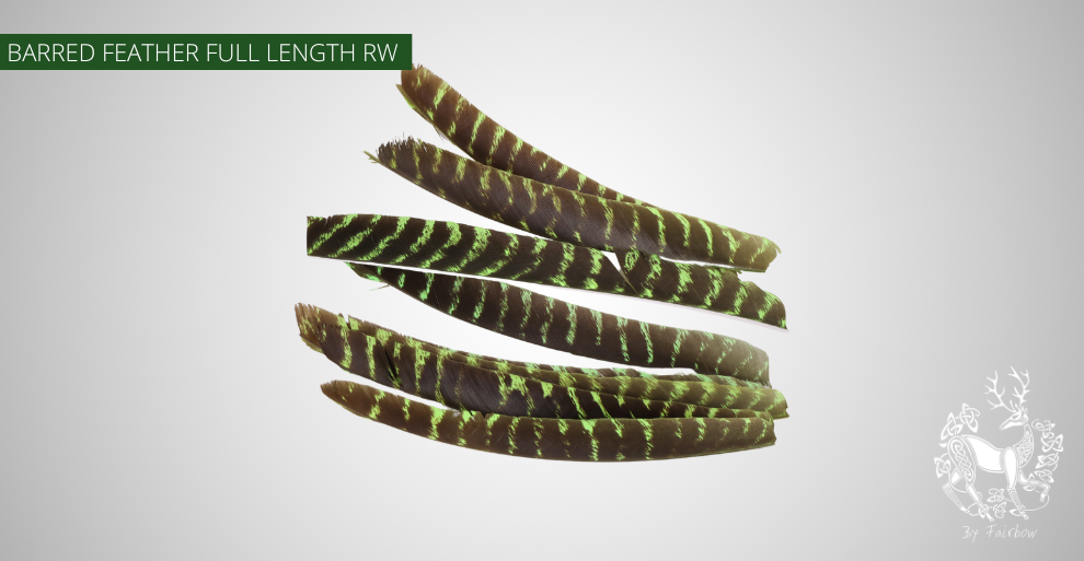 TURKEY FEATHERS NATURAL BARRED SOLD PER DOZEN RIGHT WING-Feathers-Fairbow-Green dyed-Fairbow