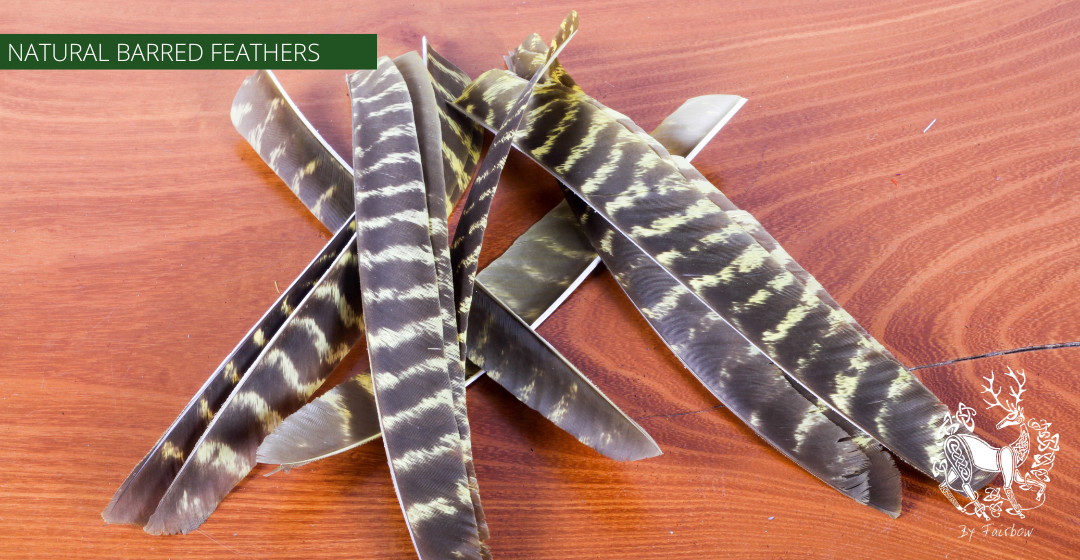 TURKEY FEATHERS NATURAL BARRED SOLD PER DOZEN RIGHT WING-Feathers-Fairbow-Natural not colored-Fairbow
