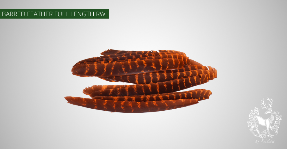 TURKEY FEATHERS NATURAL BARRED SOLD PER DOZEN RIGHT WING-Feathers-Fairbow-Orange Dyed-Fairbow