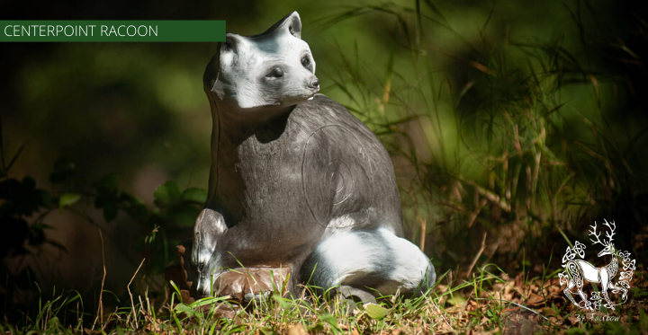 3D RACOON TARGET BY CENTERPOINT-target-Centerpoint-Fairbow