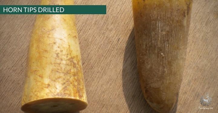 DRILLED HORN TIPS COW HORN-Horn tips-Fairbow-Fairbow