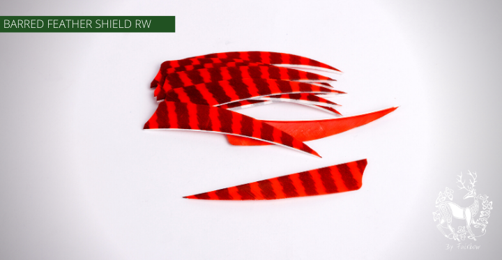 FEATHERS BARRED 5 INCH SHIELD PER DOZEN (RW)-Feathers-Fairbow-White - Black-Fairbow