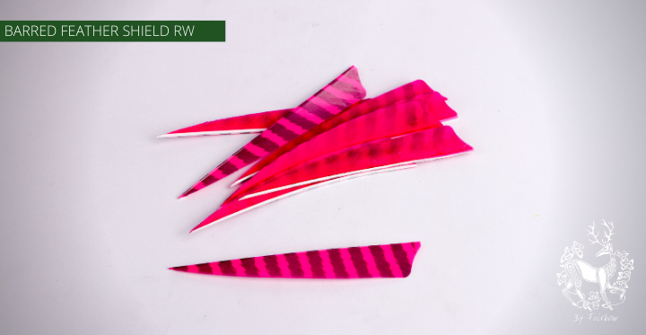 FEATHERS BARRED 5 INCH SHIELD PER DOZEN (RW)-Feathers-Fairbow-White - Black-Fairbow