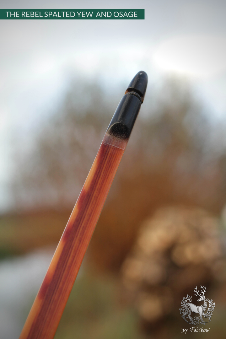 THE REBEL BOW 42@28 CLEAR GLASS, OSAGE AND YEW FINISH-Bow-Fairbow-Fairbow