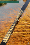 THE VERTEX BOW 68" BLACK 49 LBS @ 28 INCH RH-Bow-Fairbow-Fairbow